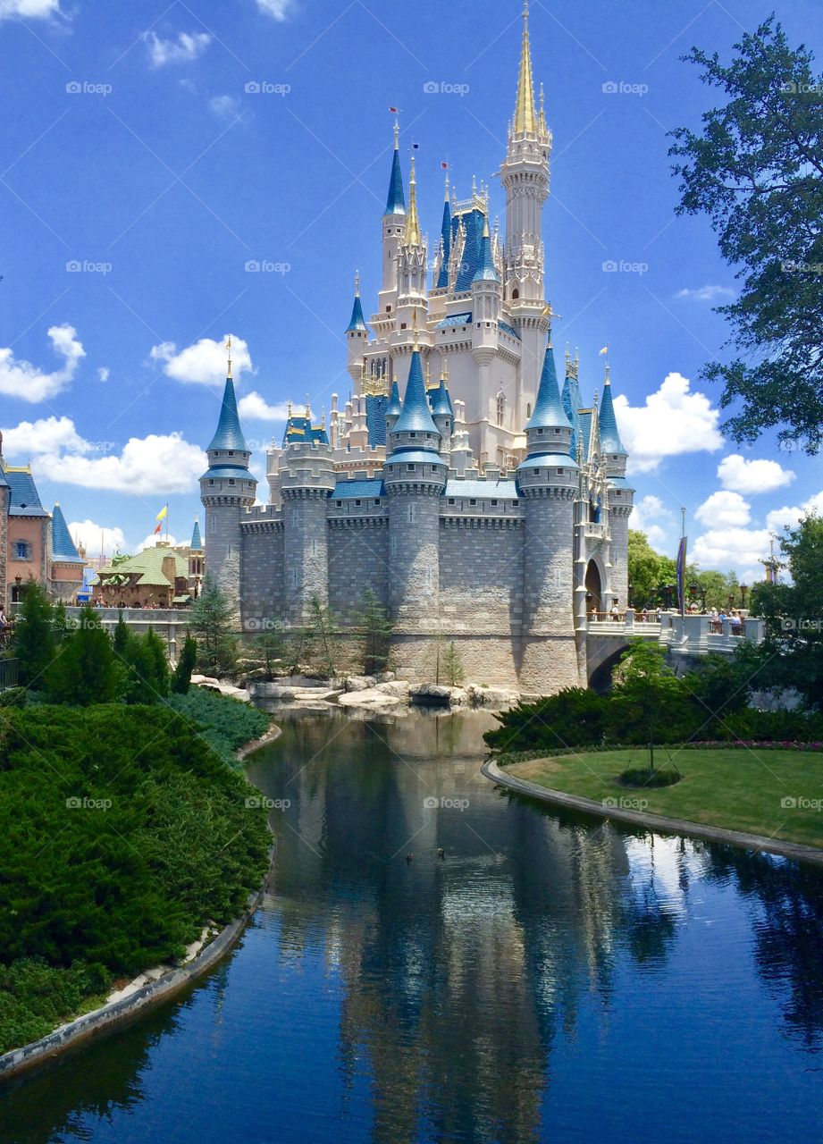 Disney Parade, Magic Kingdom, Travel, June 2016, #Disney, #Disney World, #Orlando, #Castle, Water, Reflection, 
