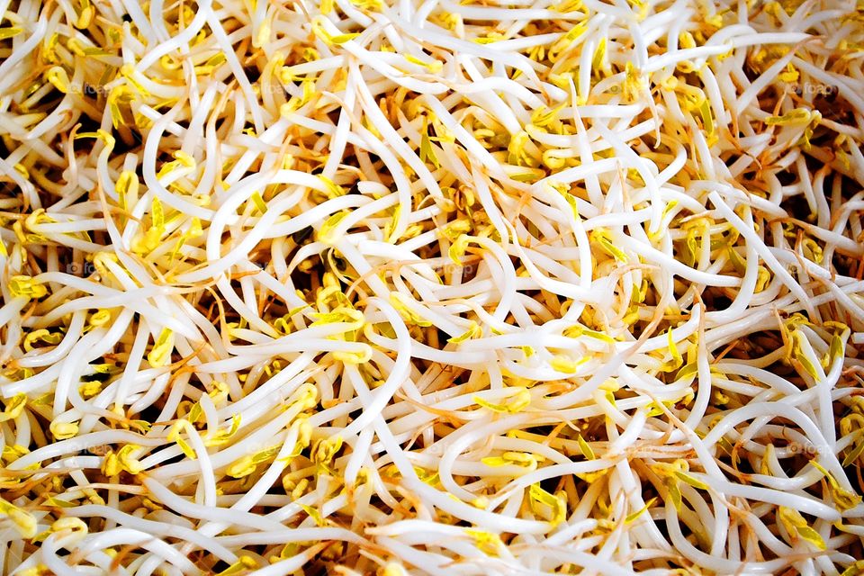 Beansprouts . Fresh bean sprouts at Changping's market.