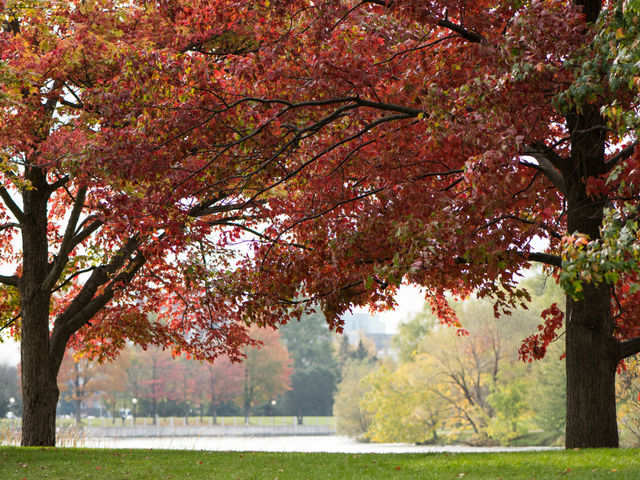 Autumn season