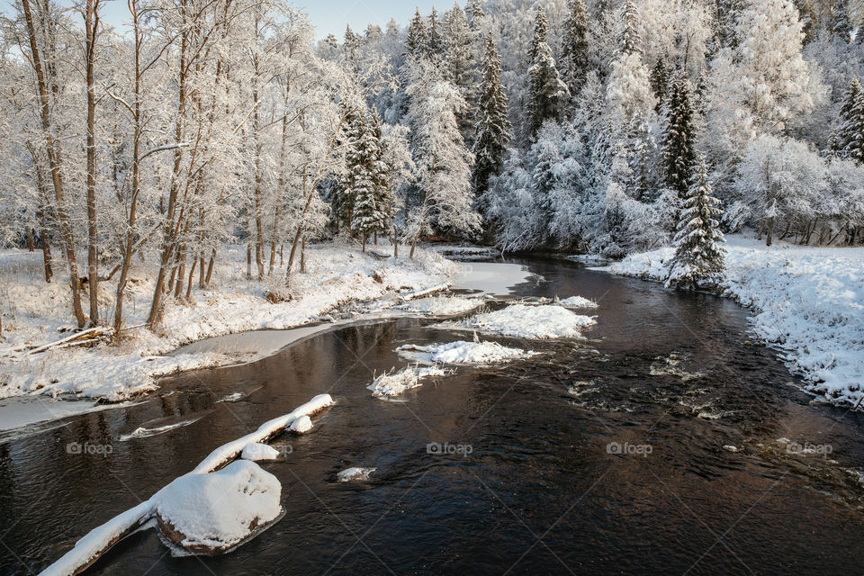 Frozen river. Ice. Snow. Forest.