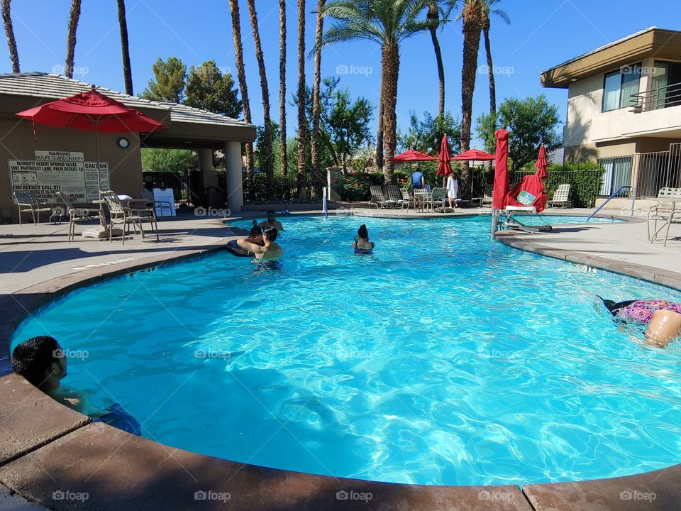Photo shows a view of the resort pool at Desert Palm Springs with a nice blue skies and palm trees