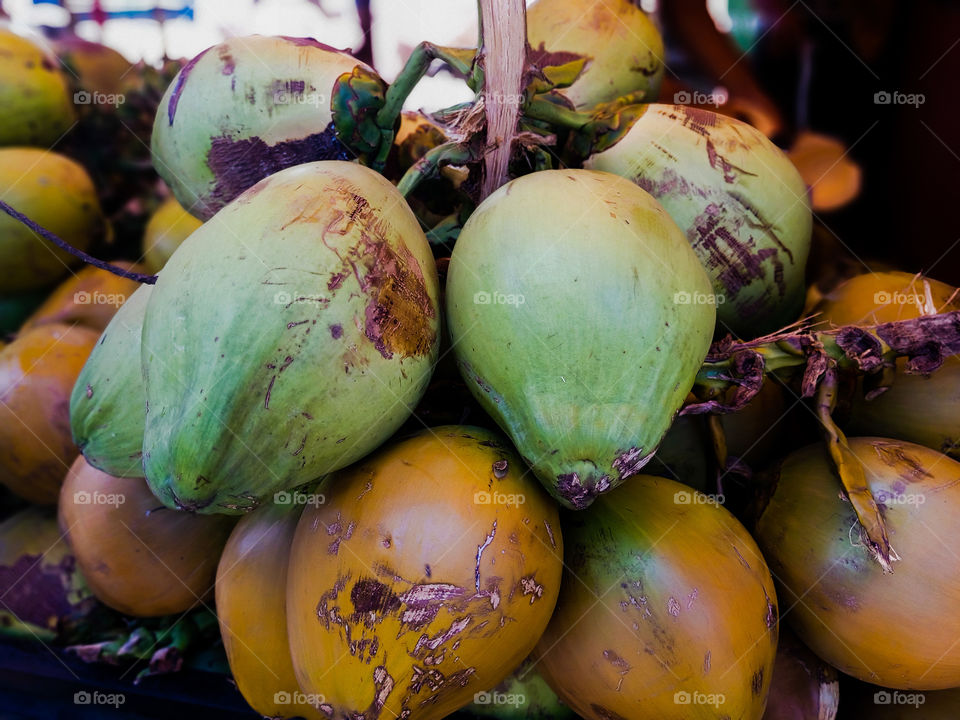 coconut fruits