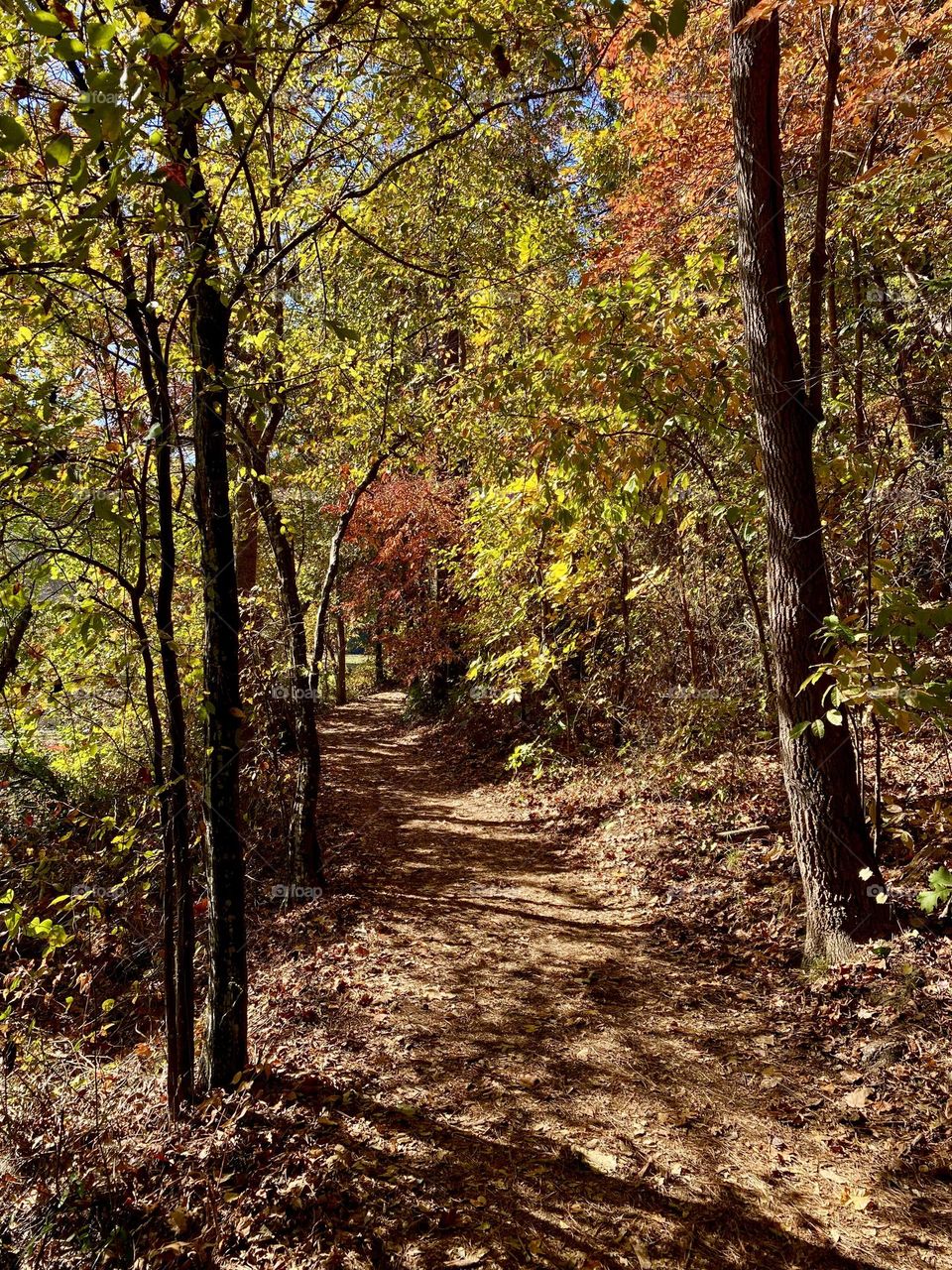 Walking trail on an autumn day 