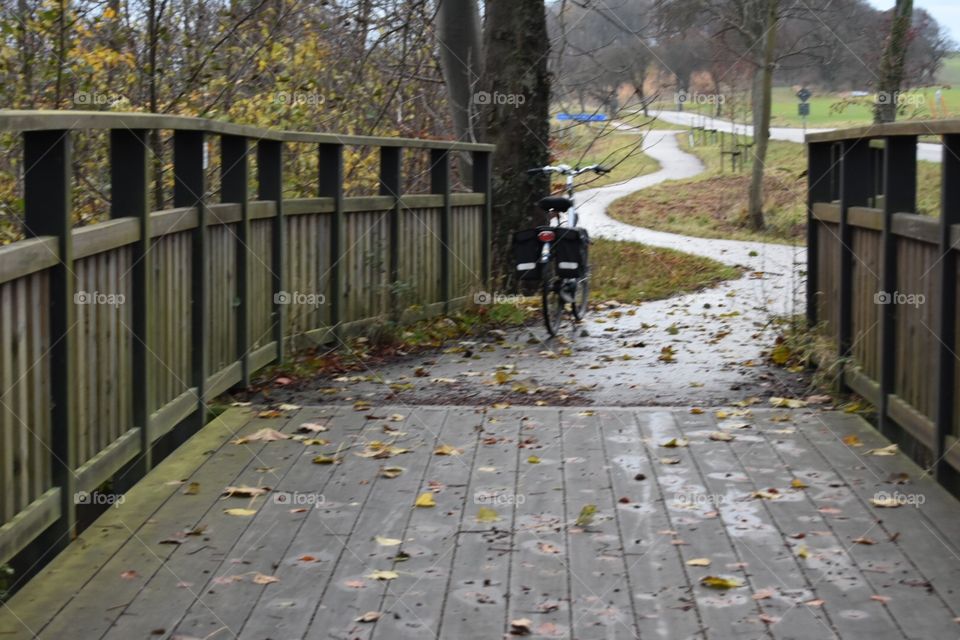 Wood, Landscape, Fence, No Person, Tree