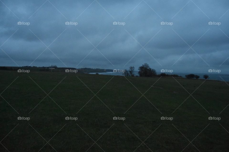 Landscape, No Person, Sky, Cropland, Tree