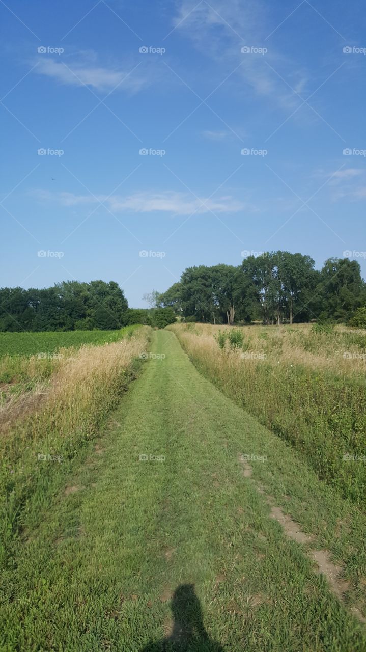 staying on the path between fields