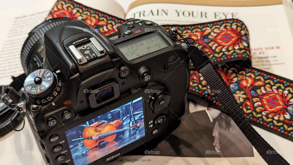 studying photography