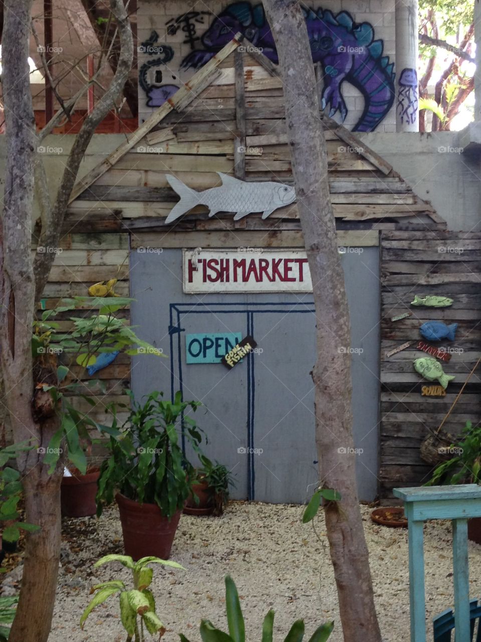 Fish Market - Islamorada - Keys - Florida