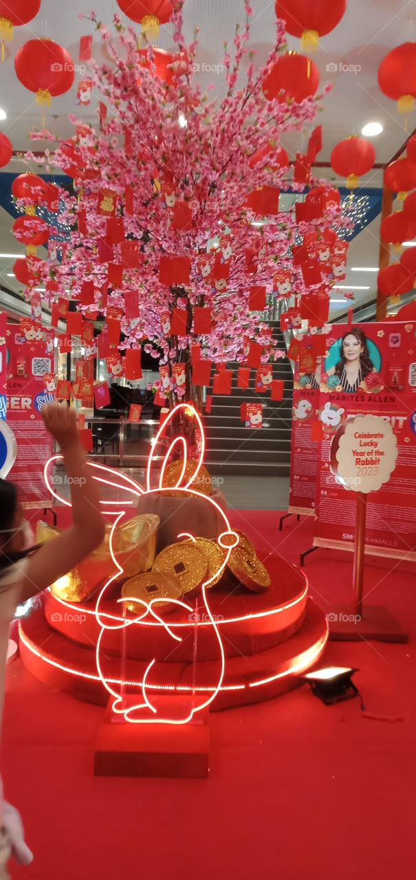 Rabbit in many areas of the world, a part of daily life—as food, clothing, a companion, and a source of artistic inspiration. And this year Chinese Horoscope is Year of the Rabbit -  represents peaceful and patient energy.