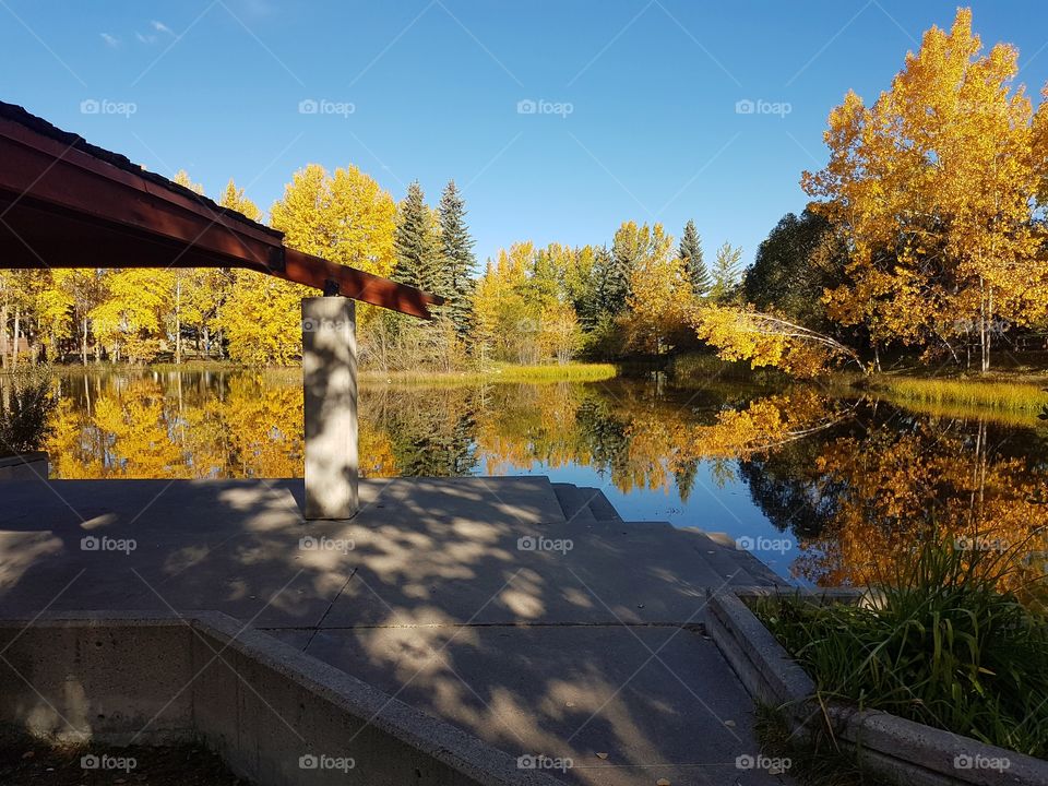 Autumn colours around a lake from the gazebo, sharp reflection,