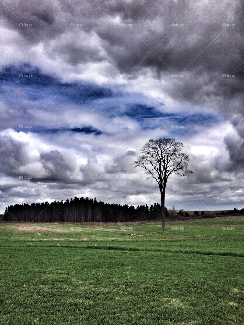 Calm Before The Storm