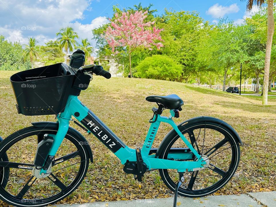 One Lonely Bicycle - There’s just something about a bike decorated with flowers or flowers in the background that makes it look right at home. A certain nostalgia we associate with simpler times. 