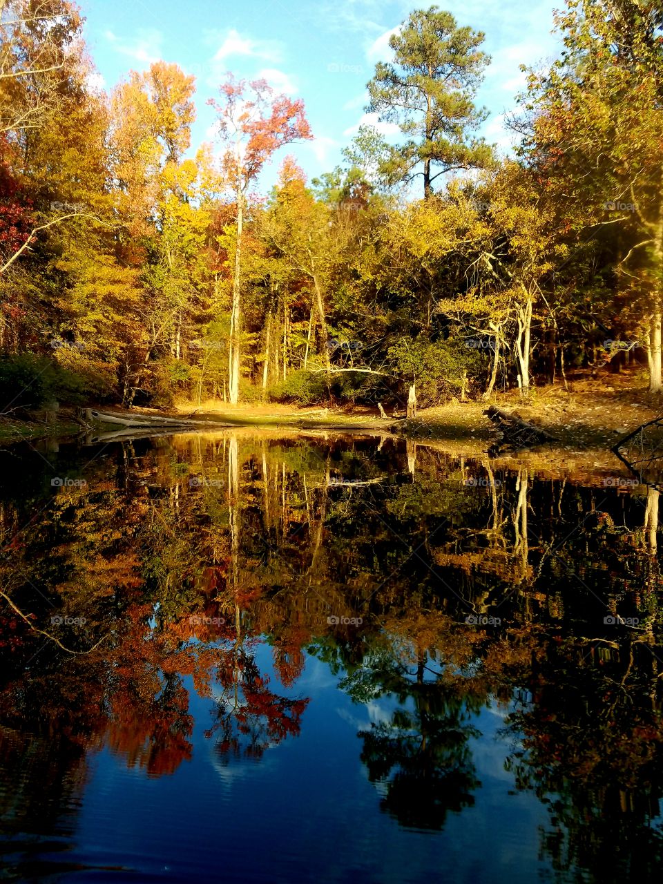 afternoon reflections.