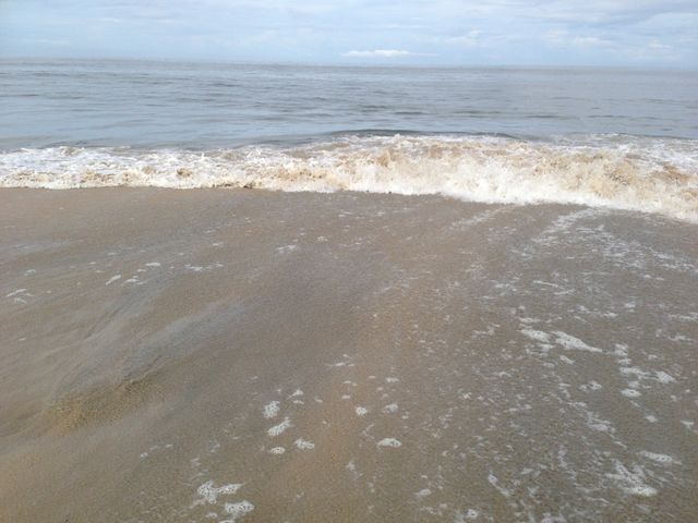 Sea
