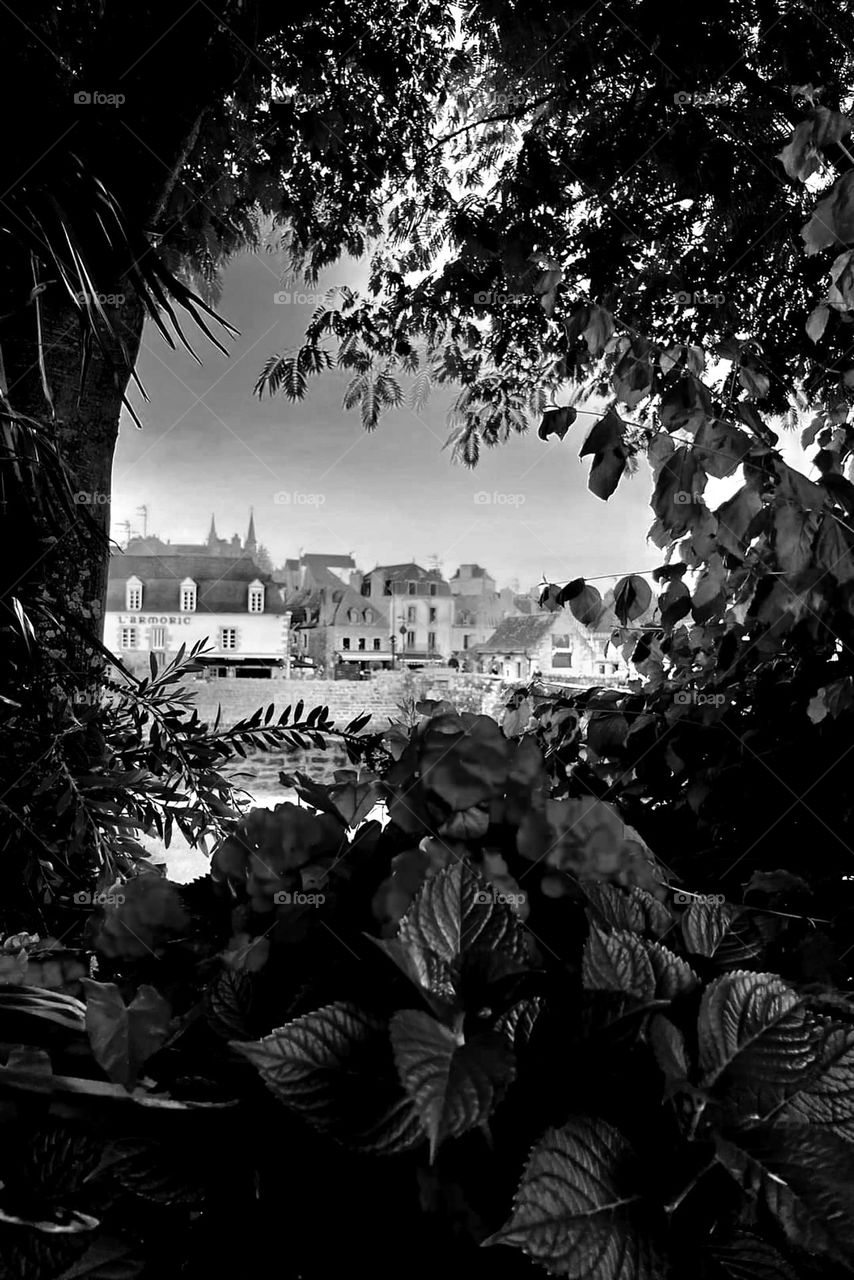 Black and white shot of a vintage looking photo of a view on Saint-Goustan village through a tree, shrub and hydrangea