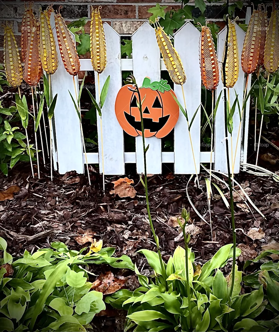 Halloween Decor