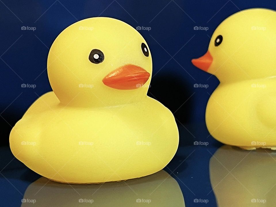 Rubber Yellow Duck 