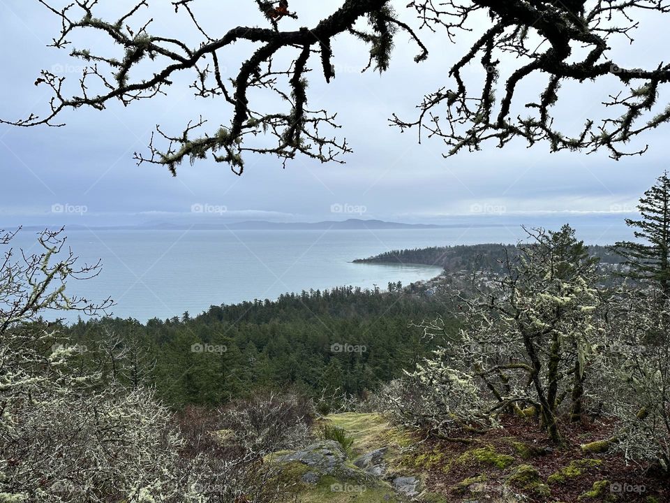 View of the bay