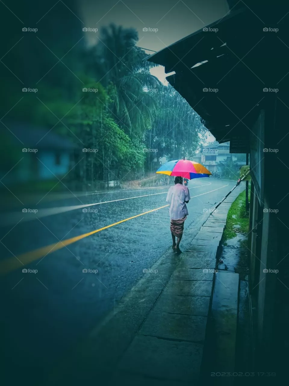 The rain ....