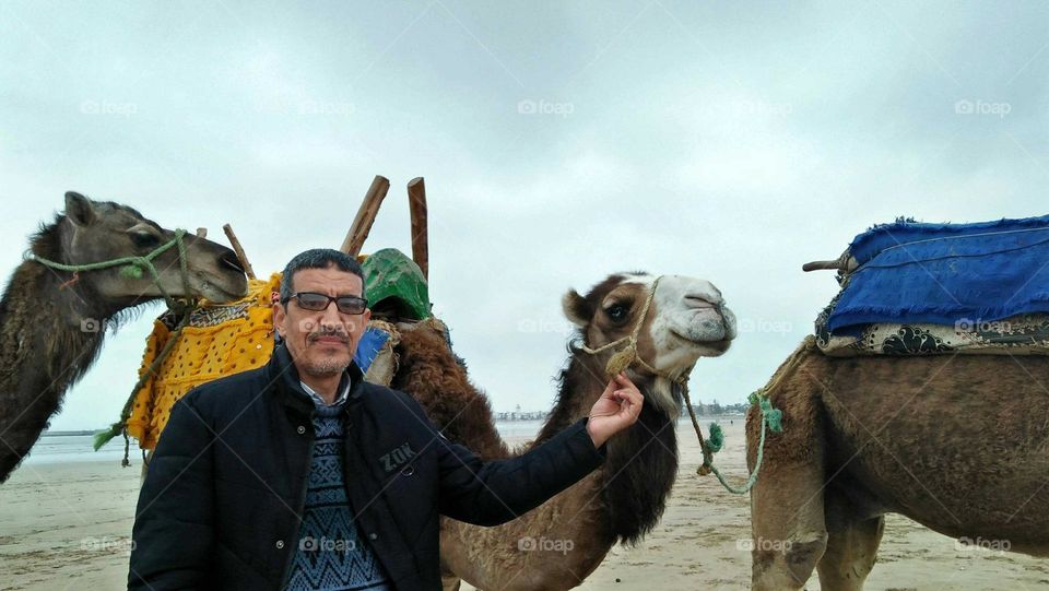 best moment with my camel.