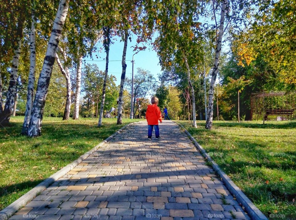 the little boy is walking along the avenue in the park маленький мальчик идёт по