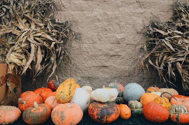 Pumpkin
