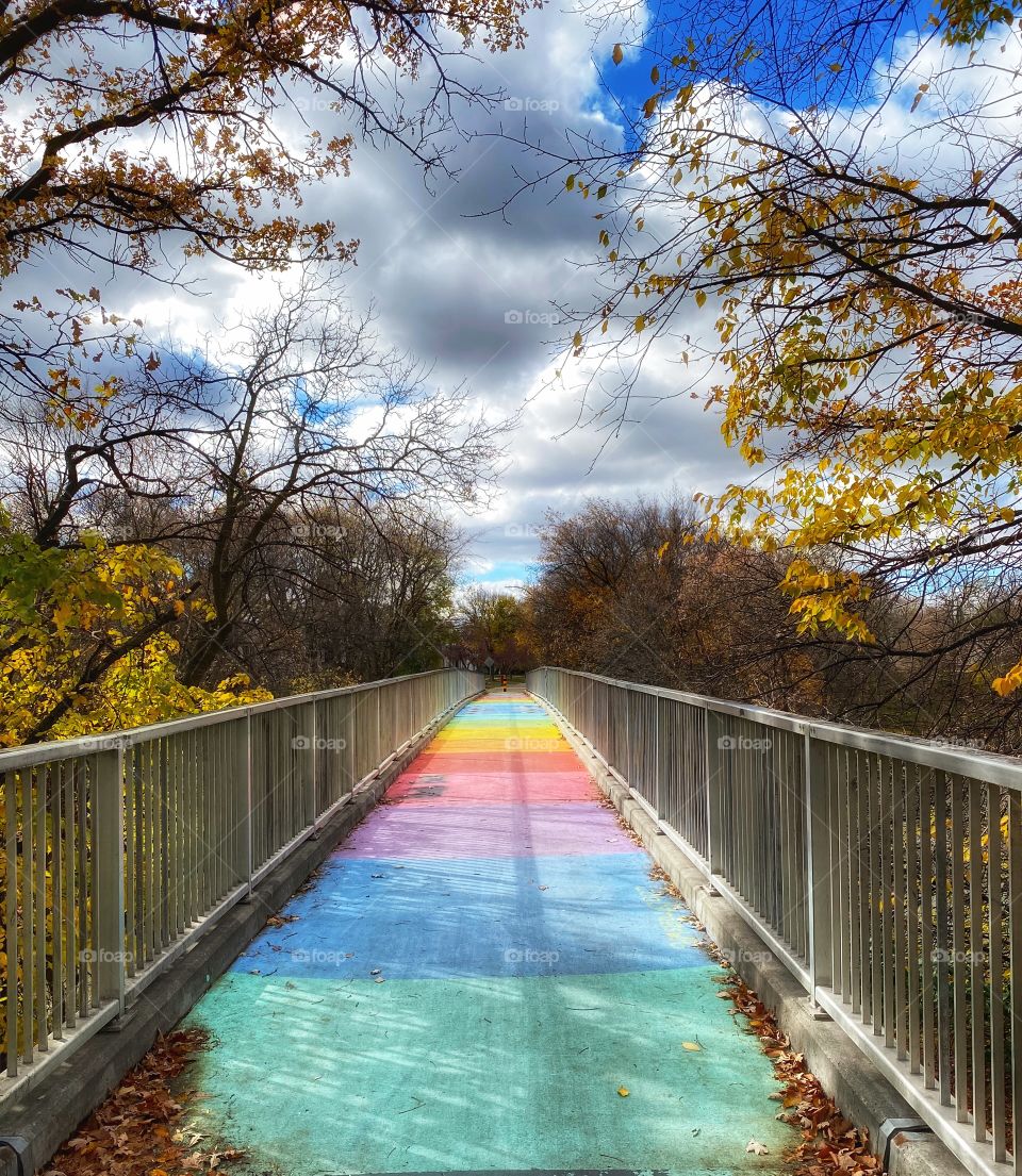 Rainbow bridge 