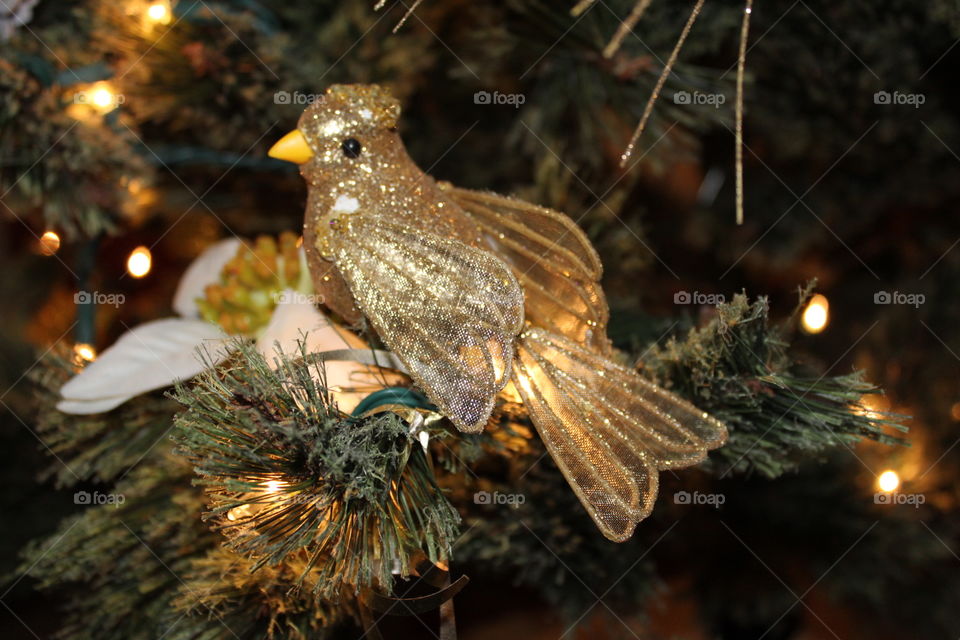 Close-up of a golden bird ornament in a Christmas tree 