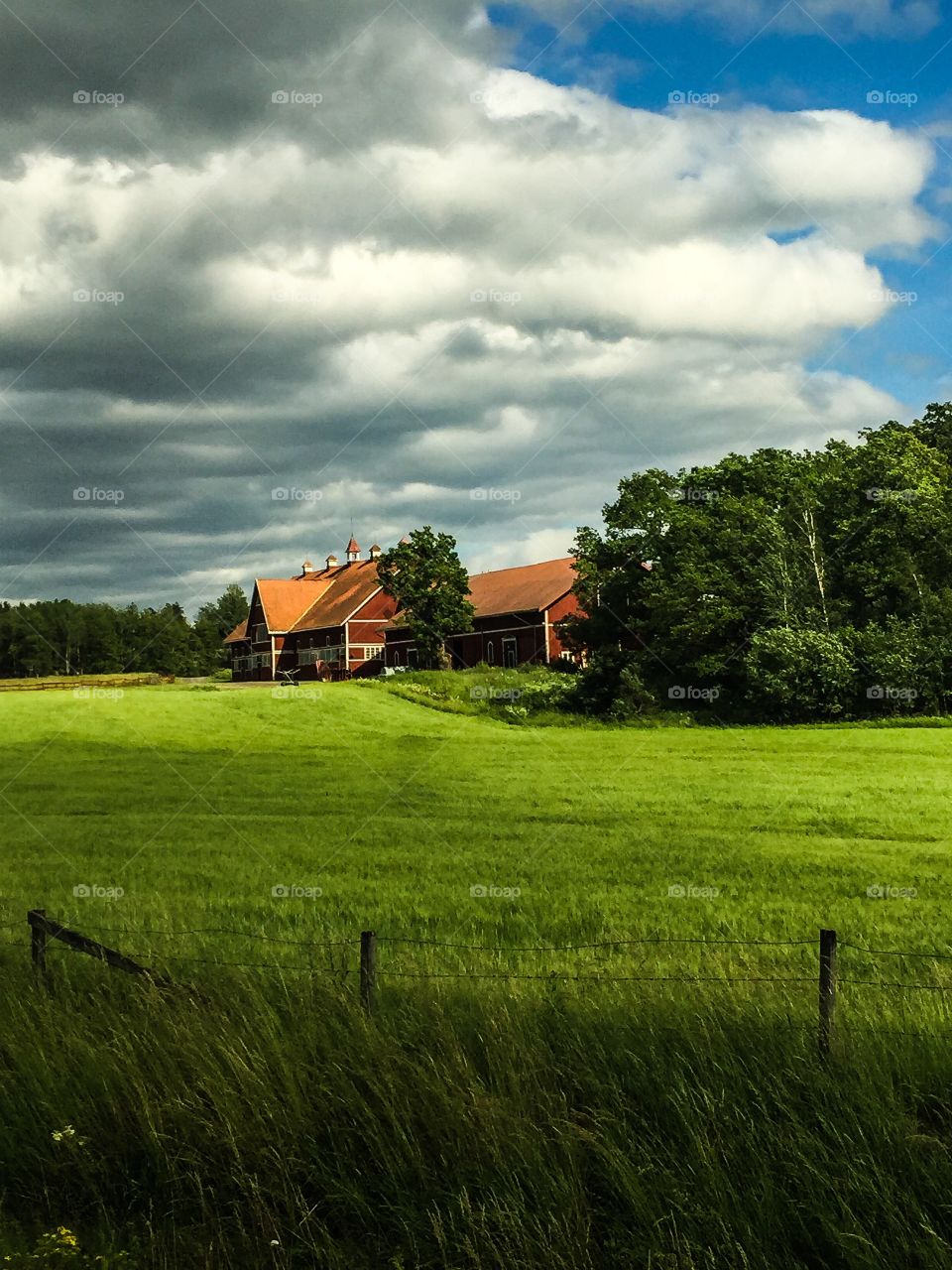 Swedish landscape