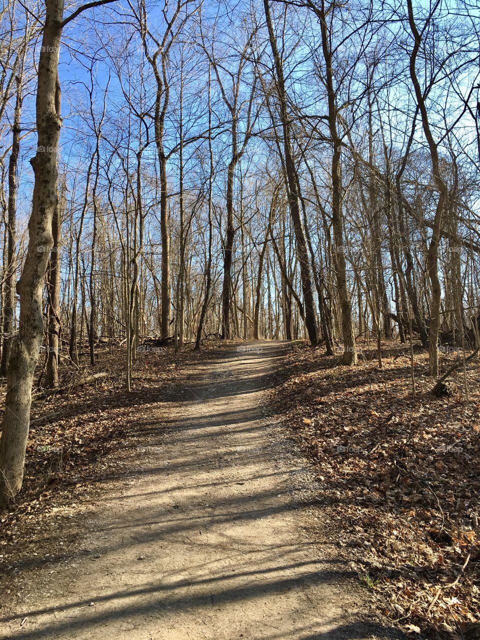 Trail in February 
