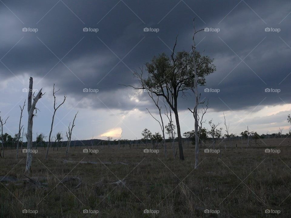 Country Storm Brewing