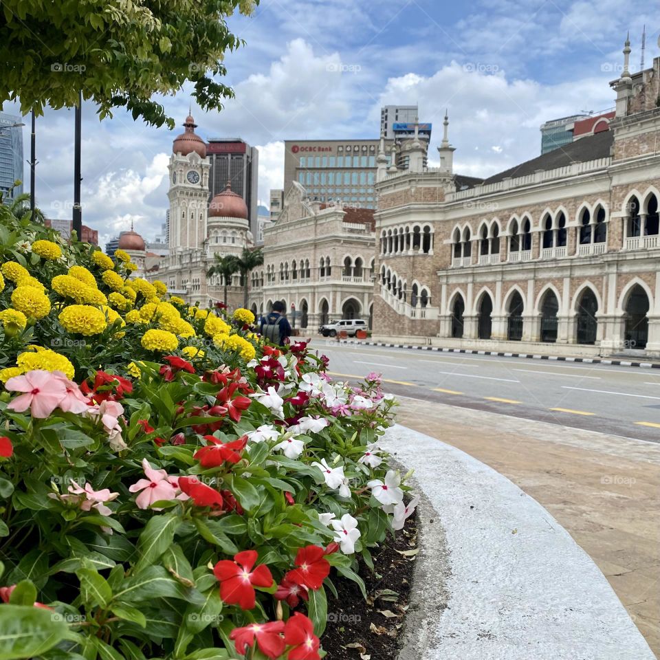 Springtime in a park
