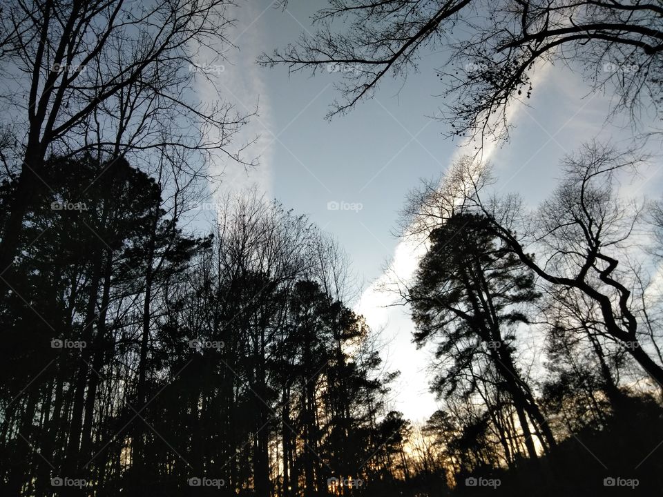 Aged chemtrails in the sunset over a private dirt road. Silhouette if mature trees