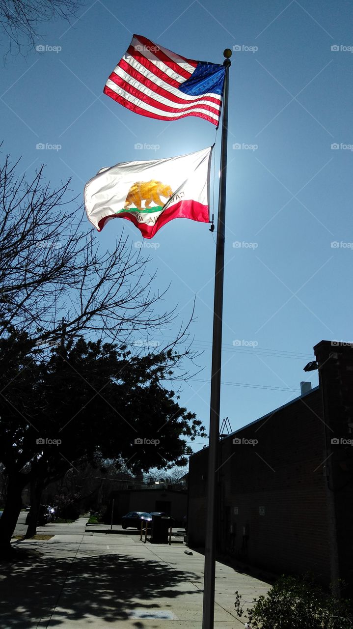 Flags blowing in the wind