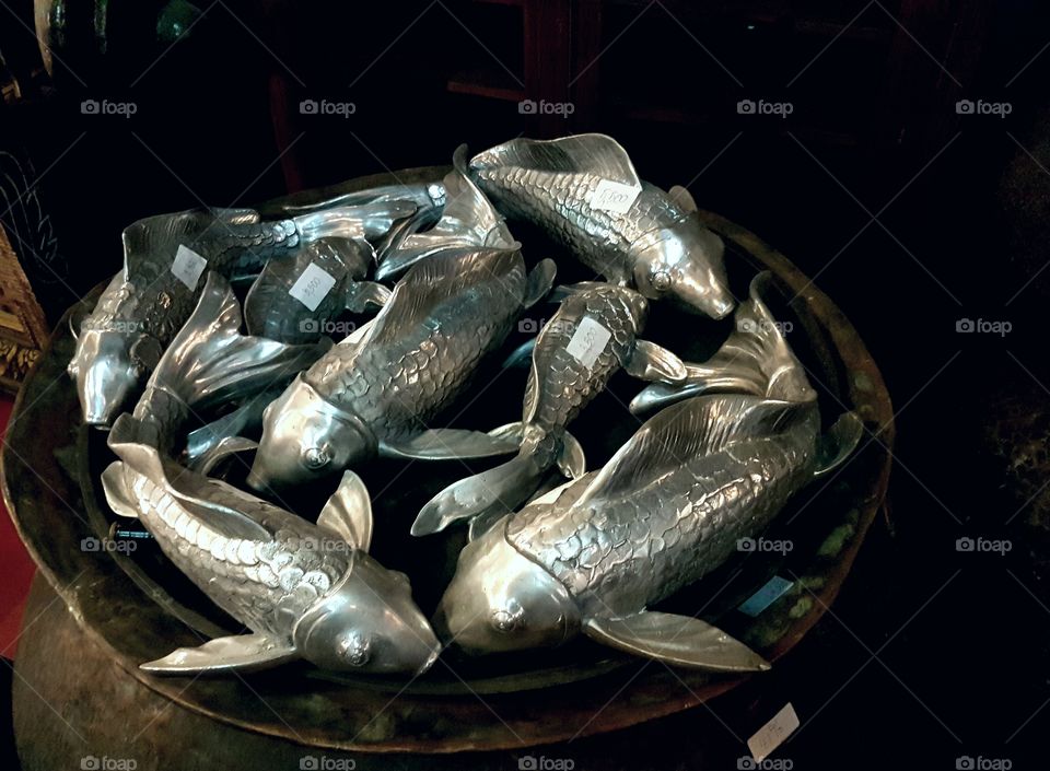 fish silver