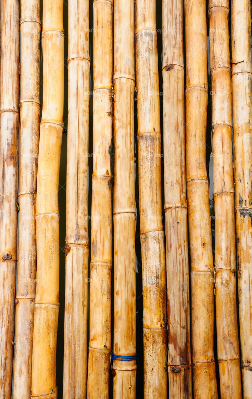 A Bamboo background with warm nature tones.