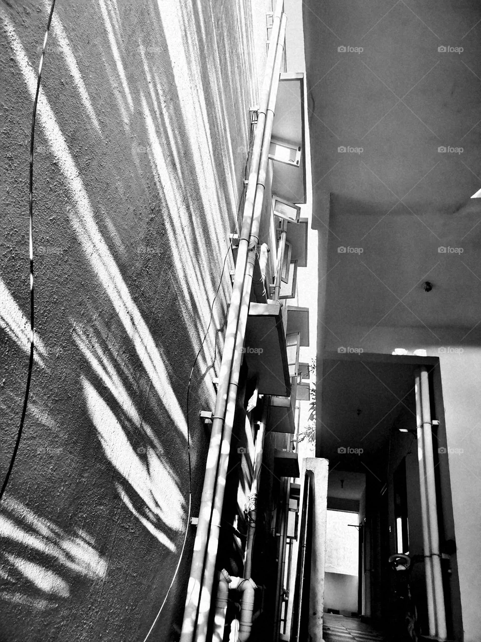 BWview