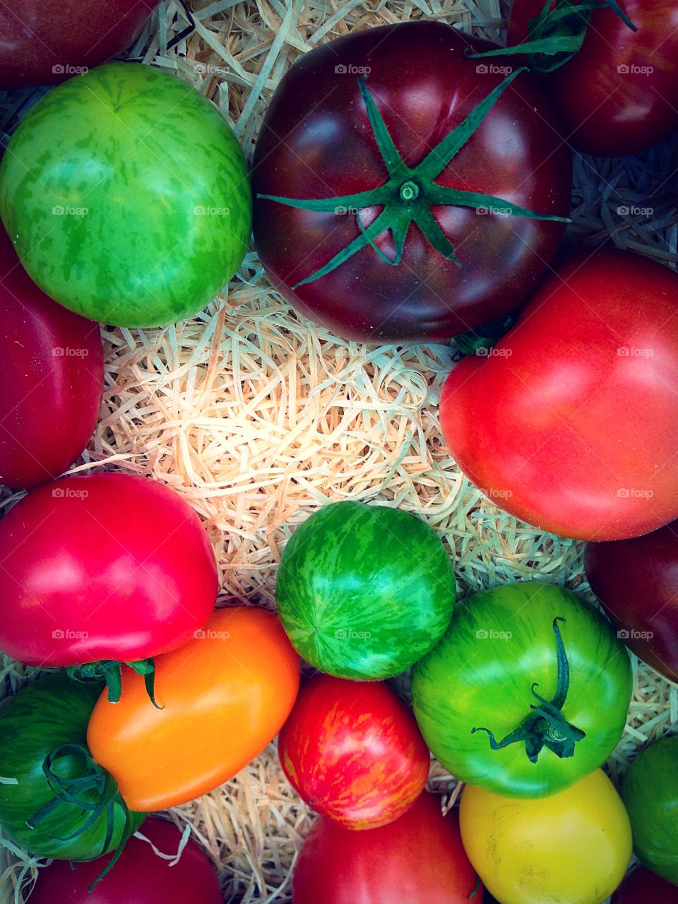 Selection of different varieties of tomatoes 