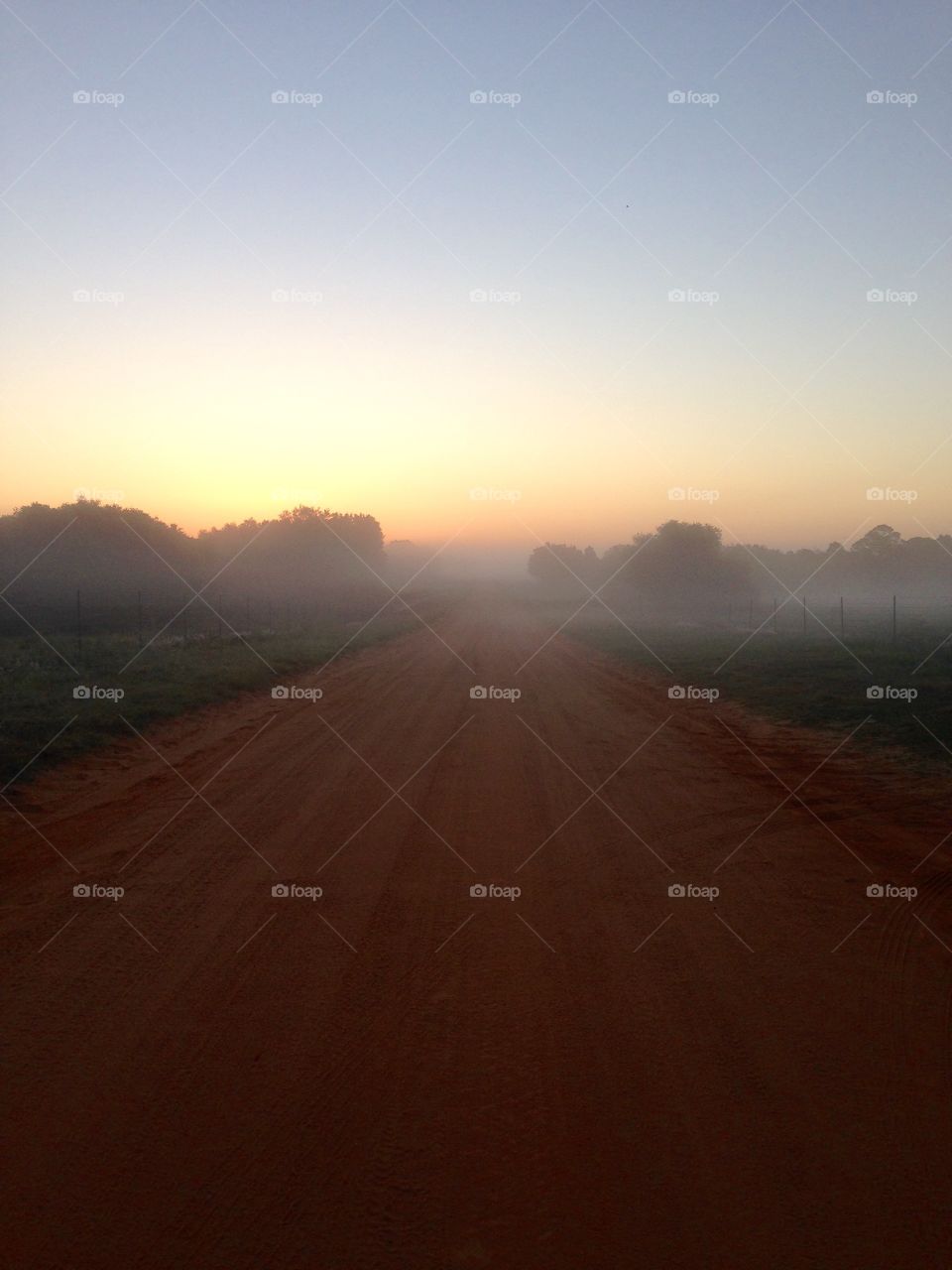 Misty Morning on the Trail. Mist over the Clay Loop Trail