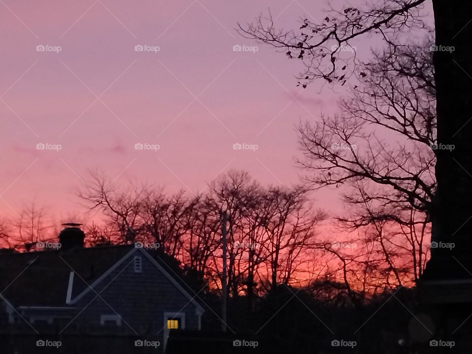 February Sunset, Long Pond, Cape Cod