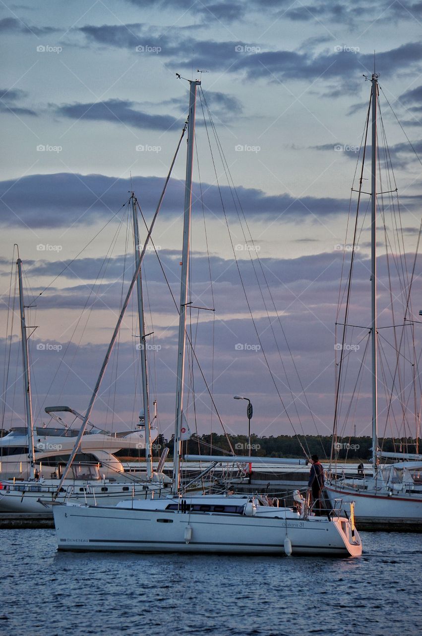 In the harbour 