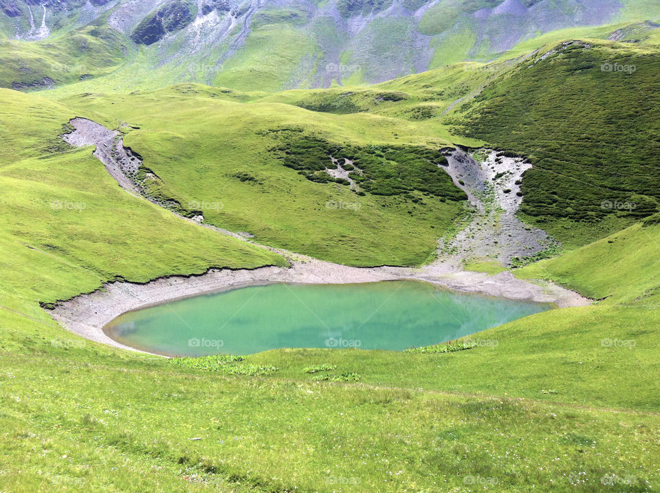 Scenic view of idyllic pond