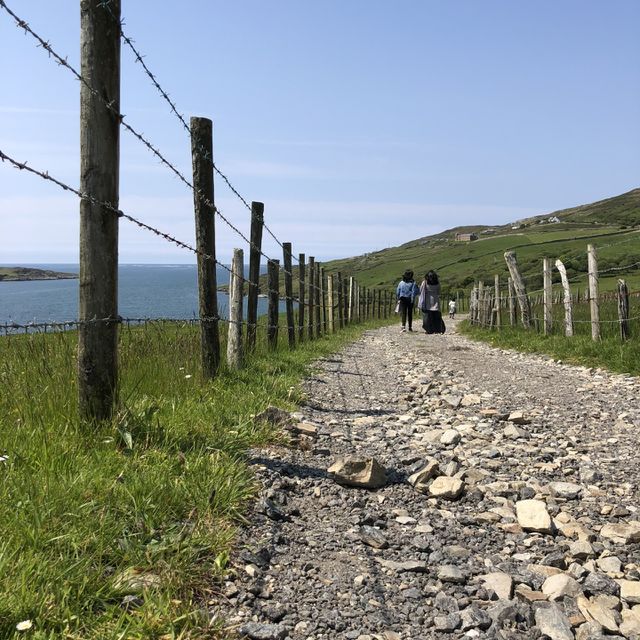 Rocky paths 