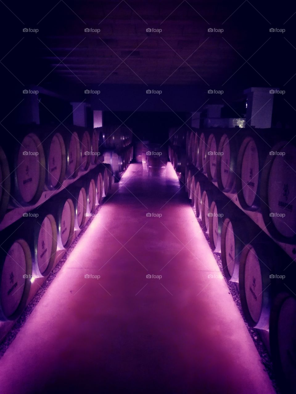 cave, tonneaux