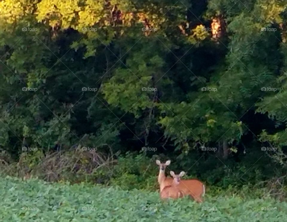 Driving the Back Roads and enjoying everything around us