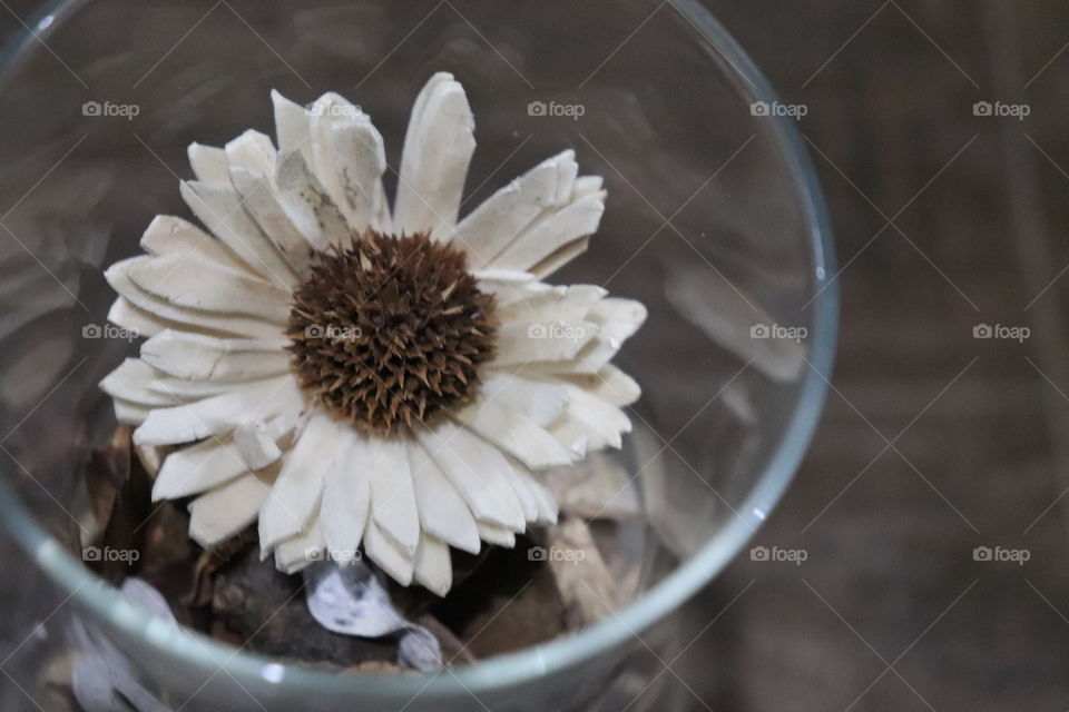 dried flower in bottle