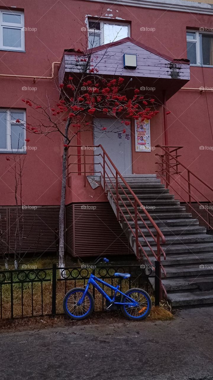 A blue bicycle at the entrance of a red house.