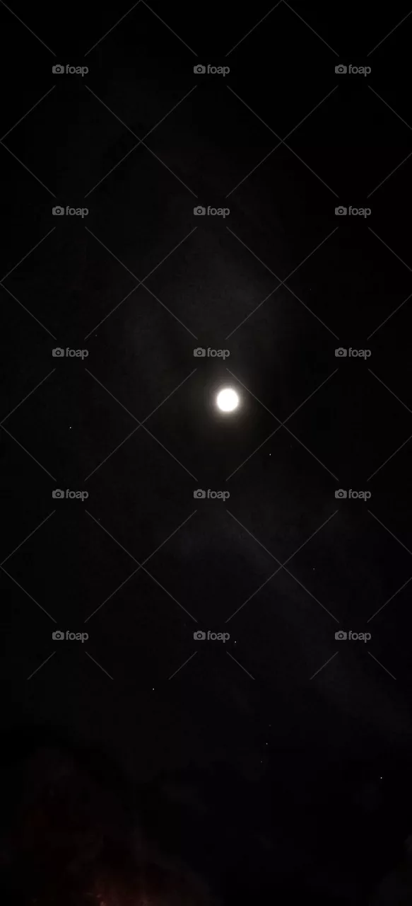 Moon in the night sky.