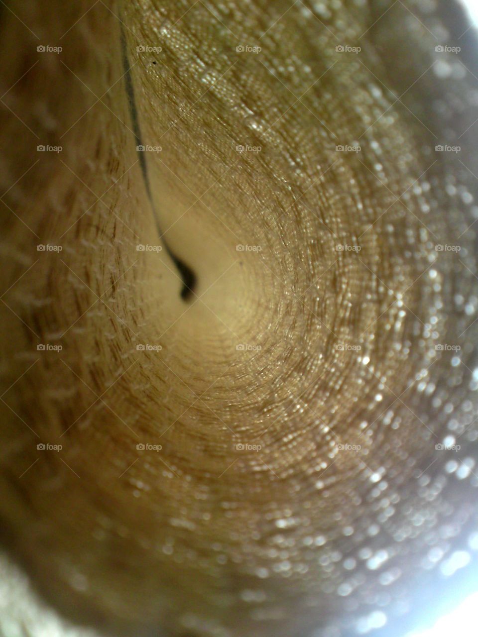 curtain, the look from below