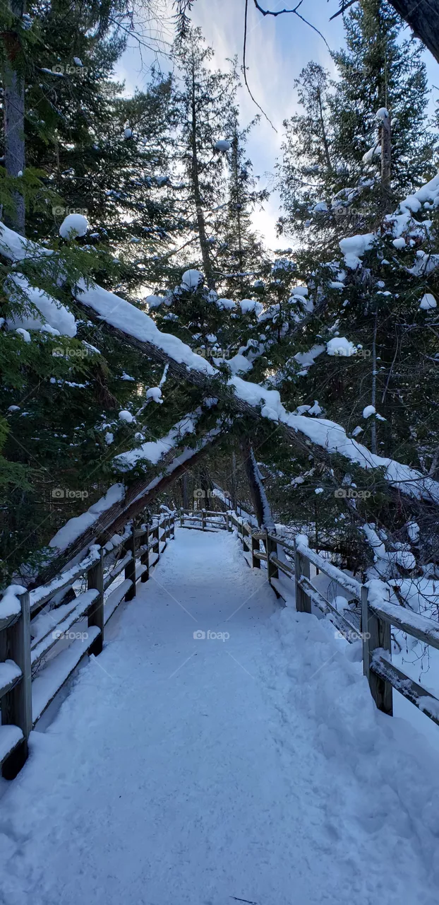 Winter walk